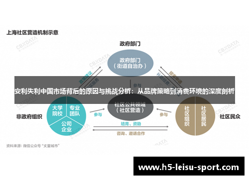 安利失利中国市场背后的原因与挑战分析：从品牌策略到消费环境的深度剖析