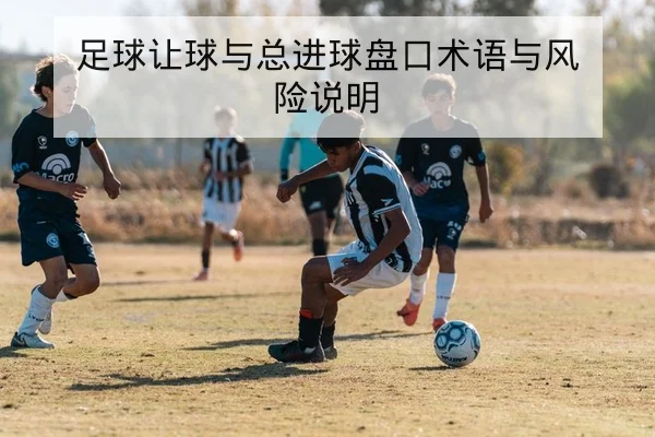 足球让球与总进球盘口术语与风险说明